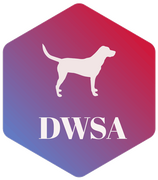Canine studies and canine first aid certificate from The Dog Walkers & Sitters Association